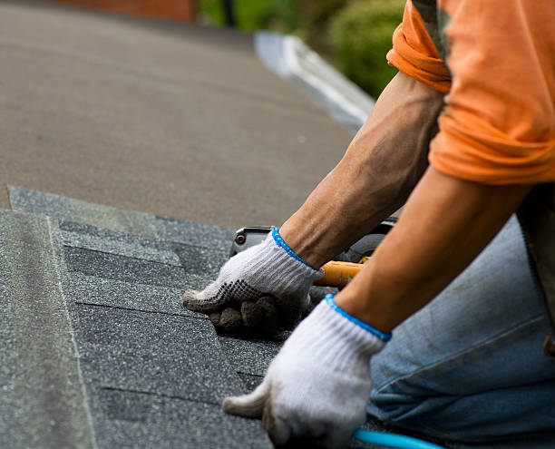Best Roofing Contractor Near Me  in Little Flock, AR